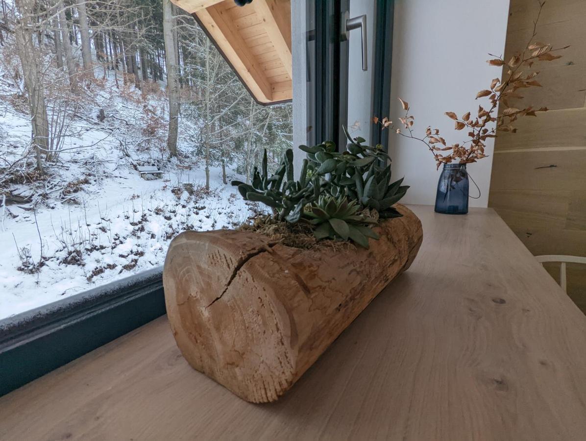 Apartment Jasmin Vitkovice